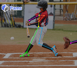 人体行为PAMS样本库