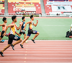 基于拓扑表征的人体活动识别方法、装置、设备、存储介质